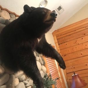 Meet your Posher, Steven